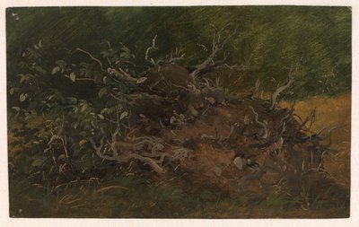 Studie eines Baumstumpfes von Vilhelm Petersen