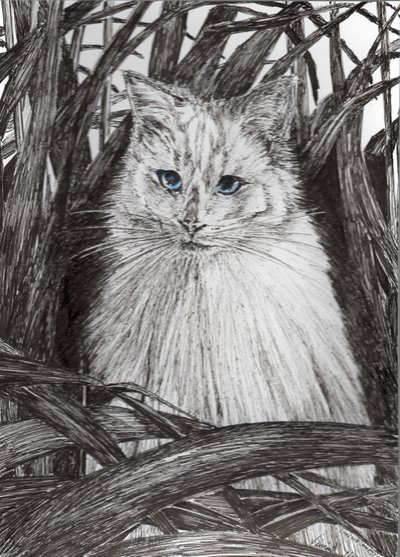 Dschungel Monty, 2015 von Vincent Alexander Booth