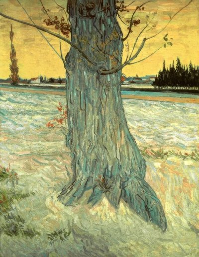 Der Baum von Vincent van Gogh