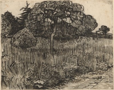 Weinender Baum von Vincent van Gogh
