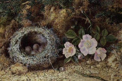 Vogelnest und Heckenrosen von W. M. Arundale