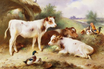 Kälber und Geflügel bei einem Stall von Walter Hunt