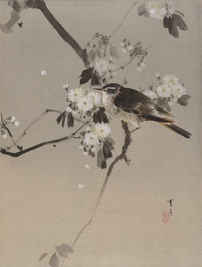 Vögel auf einem blühenden Zweig, ca. 1887 von Watanabe Seitei