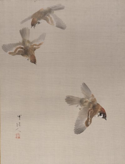 Spatzen im Flug, ca. 1887 von Watanabe Seitei