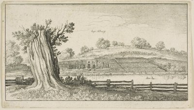 Albury mit Baumstumpf im Vordergrund von Wenceslaus Hollar