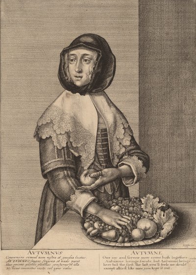 Herbst von Wenceslaus Hollar