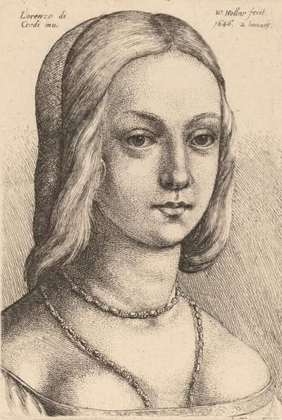 Kopf einer Frau, nach rechts blickend von Wenceslaus Hollar