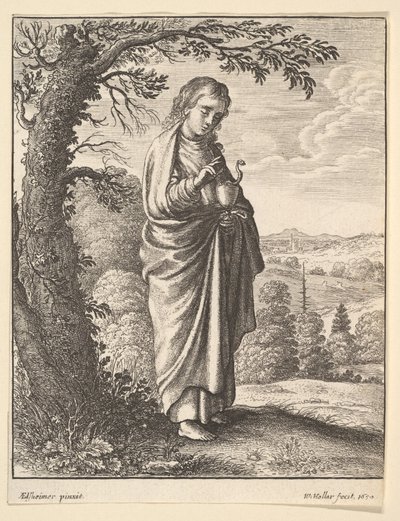 St. Johannes der Evangelist, 1650 von Wenceslaus Hollar