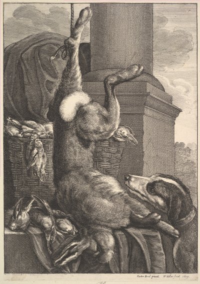 Der tote Hase von Wenceslaus Hollar