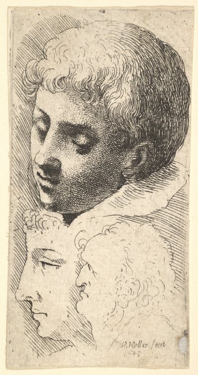 Drei Köpfe, 1645 von Wenceslaus Hollar