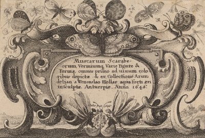 Titelseite, 1646 von Wenceslaus Hollar