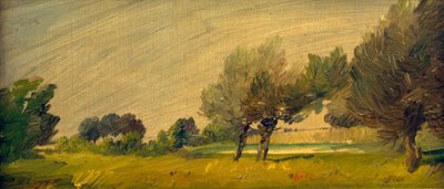 Grüne Sommerlandschaft – Weiden am Teich von Wilhelm Busch
