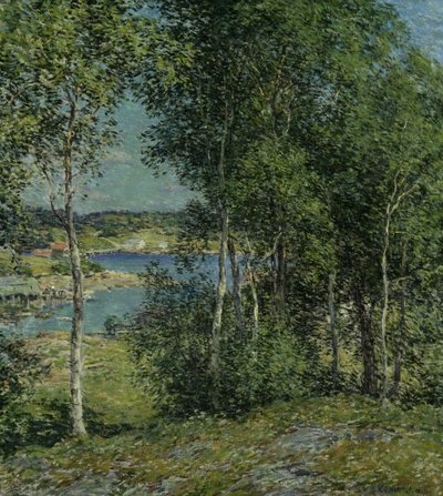 Eine Familie von Birken, 1907 von Willard Leroy Metcalf
