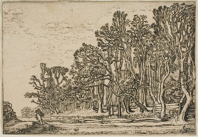 Landschaft mit Plankenhecken und Mann mit Holz von Willem Buytewech