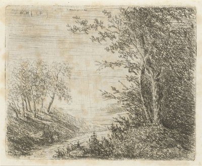 Hügellandschaft mit Bach von Willem Matthias Jan van Dielen