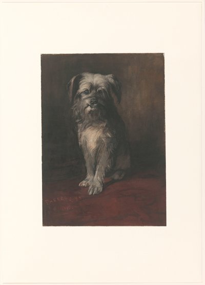 Porträt des Hundes Phoebus von Willem Arnoldus Witsen