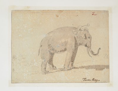 WD 961 f.2 von William Alexander
