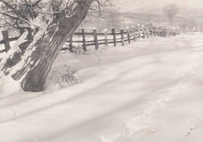 Pfad im Schnee von William B. Post