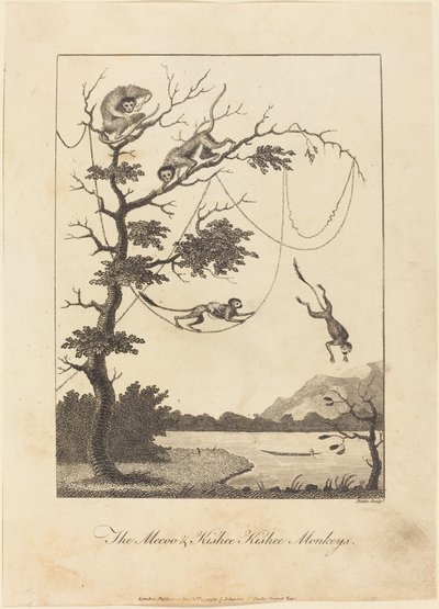 Die Mecoo & Kisbee Kishee Affen, 1793 von William Blake