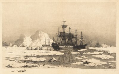 Unter den Eisschollen von William Bradford