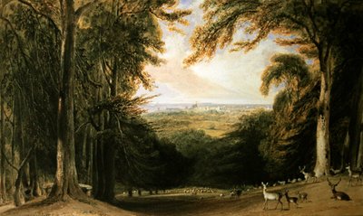 Waldlandschaft, Windsor von William Daniell