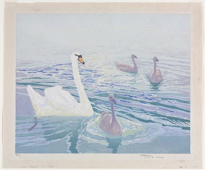 Schwäne und Junge von William Giles