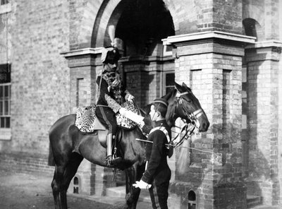 Offizier der 3. Husaren, ca. 1890er von William Gregory