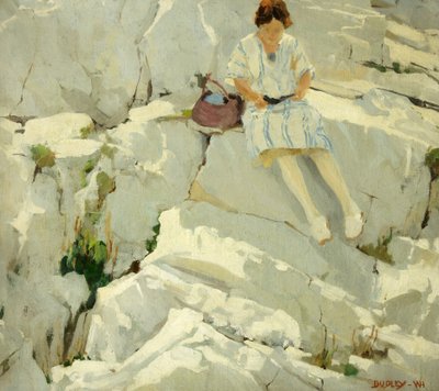 Schmetterling auf den Felsen von William Harold Dudley