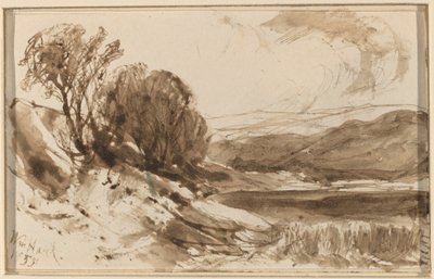 Hügelige Landschaft mit Bäumen von William Hart