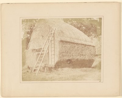 Der Heuhaufen von William Henry Fox Talbot