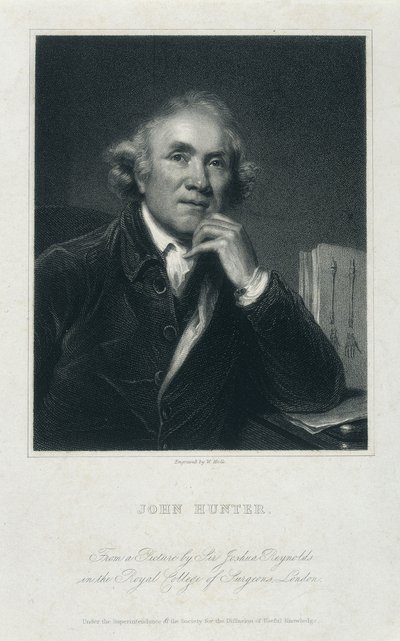 John Hunter, FRS, um 1850-1870 von William Holl