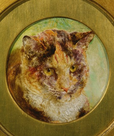Studie einer Schildpattkatze von William Huggins