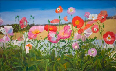 Mohnblumen von William Ireland