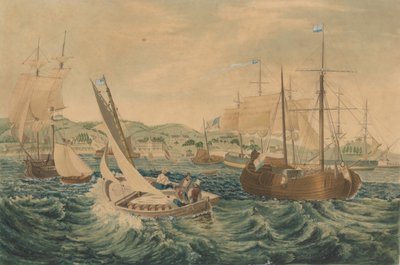 Quarantäne, Staten Island, 1833 von William James Bennett