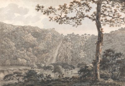 Die Wasserfälle von Powerscourt, Co. Wicklow, Irland von William Pars