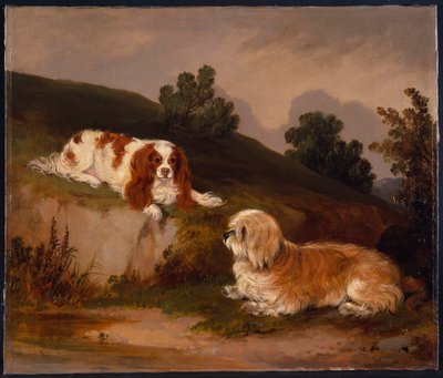 Landschaft mit Spaniel und Terrier von William Pascoe