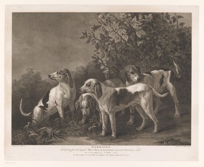 Vier Jagdhunde von William Satchwell Leney
