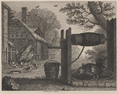 Die alte Henne und der Hahn von William Skelton