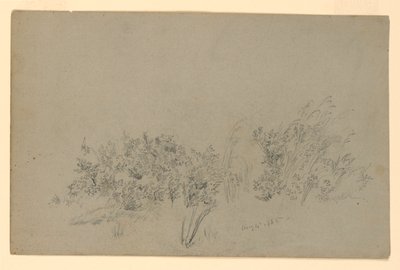 Studie von Laub von William Trost Richards