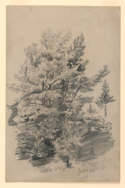 Studie von Laub von William Trost Richards