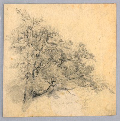 Studie von Laub von William Trost Richards