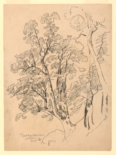 Studie von Laub, Trachselwald, Bern, Schweiz von William Trost Richards