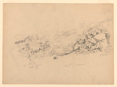 Studie von Laub, Trachselwald, Bern, Schweiz von William Trost Richards