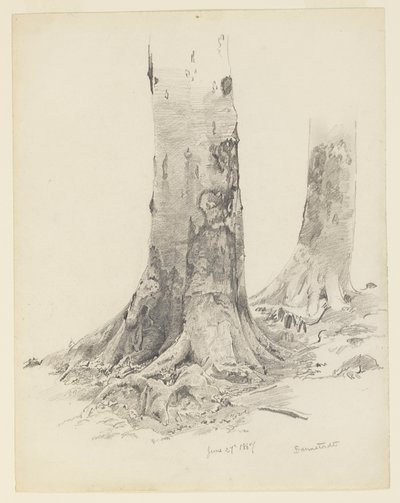 Baumstämme, Darmstadt von William Trost Richards