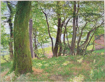 Carmarthenshire Nachmittag von William Wilkins