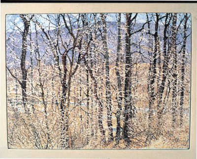 Kittatiny Berge, Morgen von William Wilkins