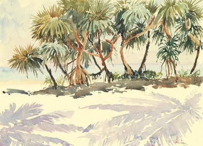 Stroh Bäume, Bentota von Wilson Clive