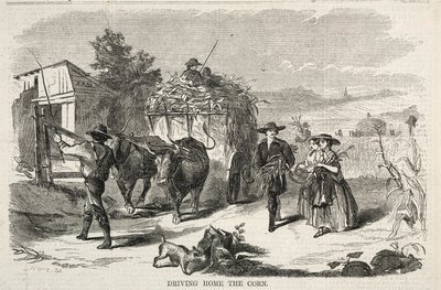 Heimfahrt mit dem Korn von Winslow Homer