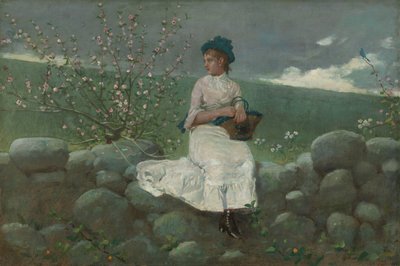 Pfirsichblüten von Winslow Homer