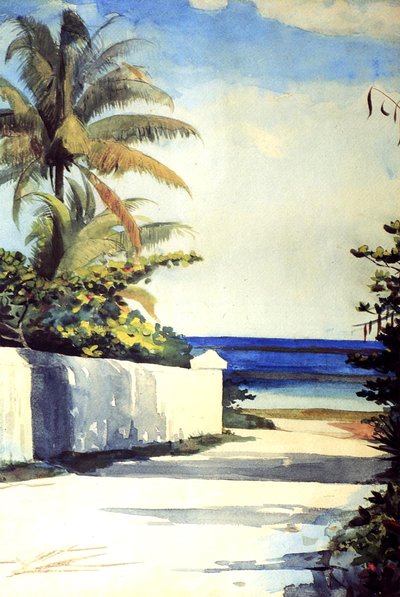 Straße in Nassau, 1898-99 von Winslow Homer